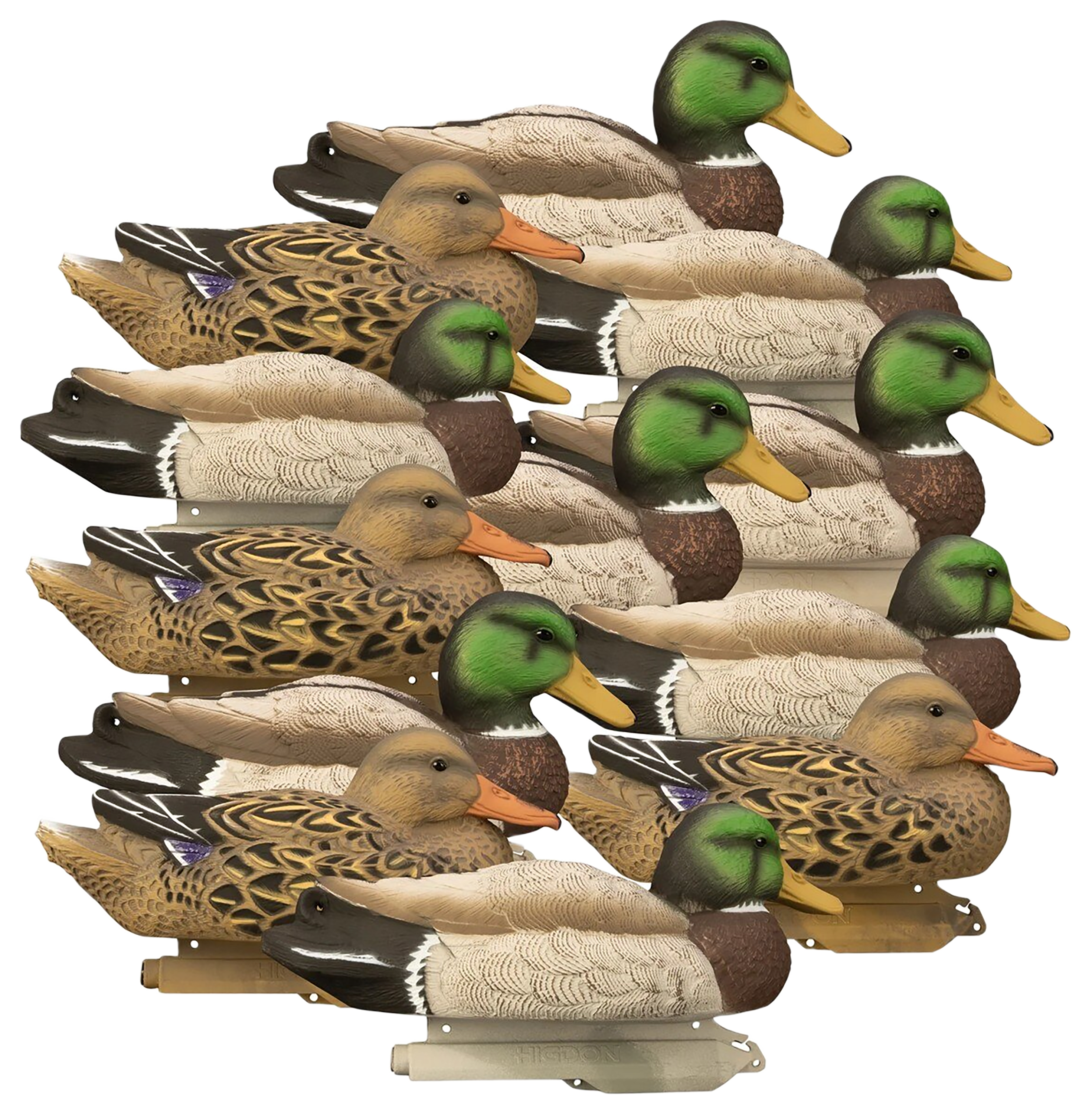Image of Higdon Standard Mallard Foam Filled Decoys 12 Pack