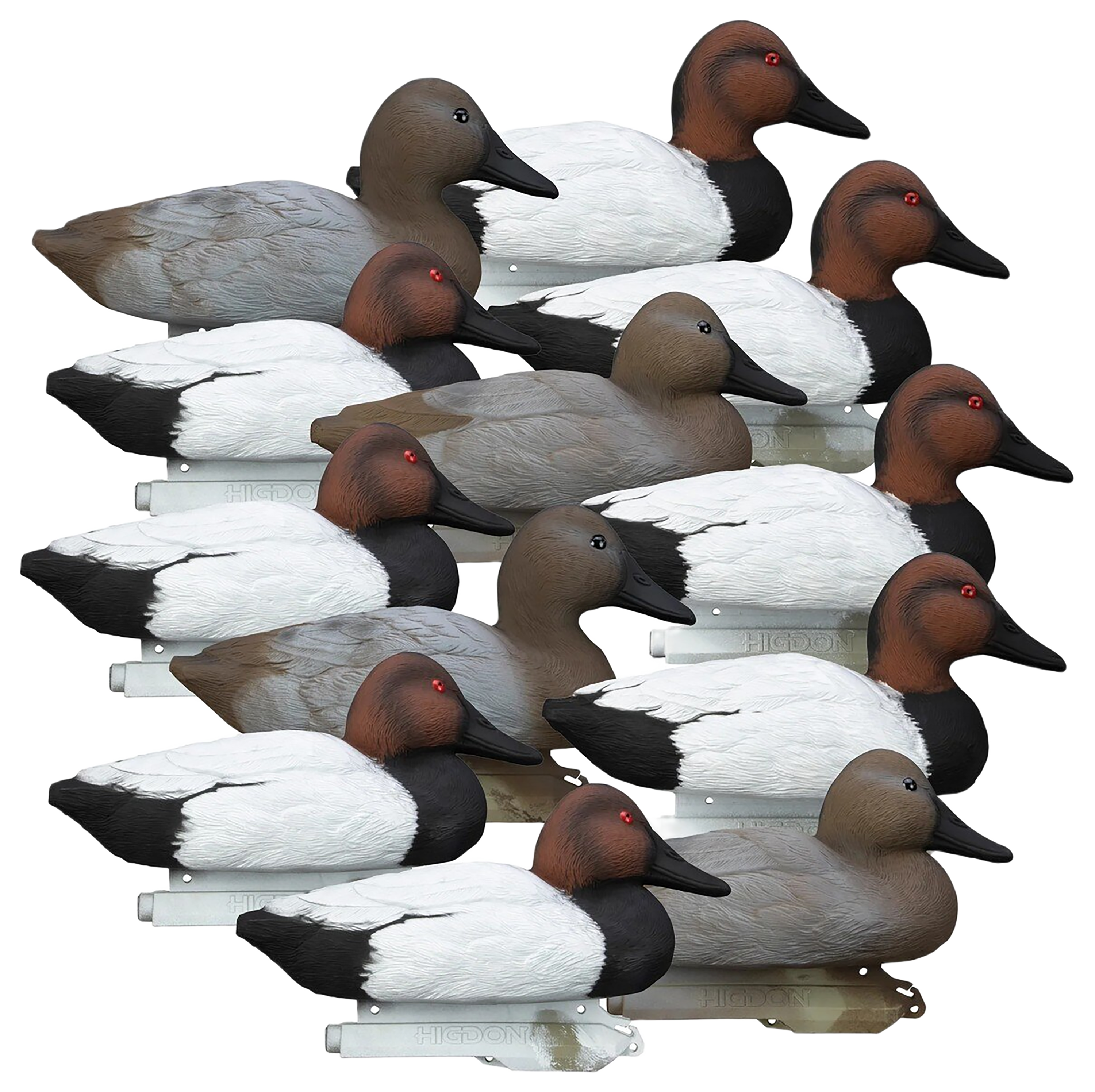 Higdon Standard Canvasback Foam Filled Decoys 12 Pack - Higdon Outdoors