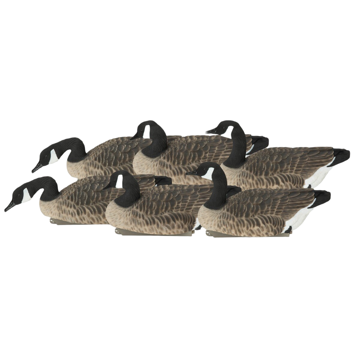 Image of GHG Pro Grade XD Canada Floaters Harvester Goose Decoys 6 Pack