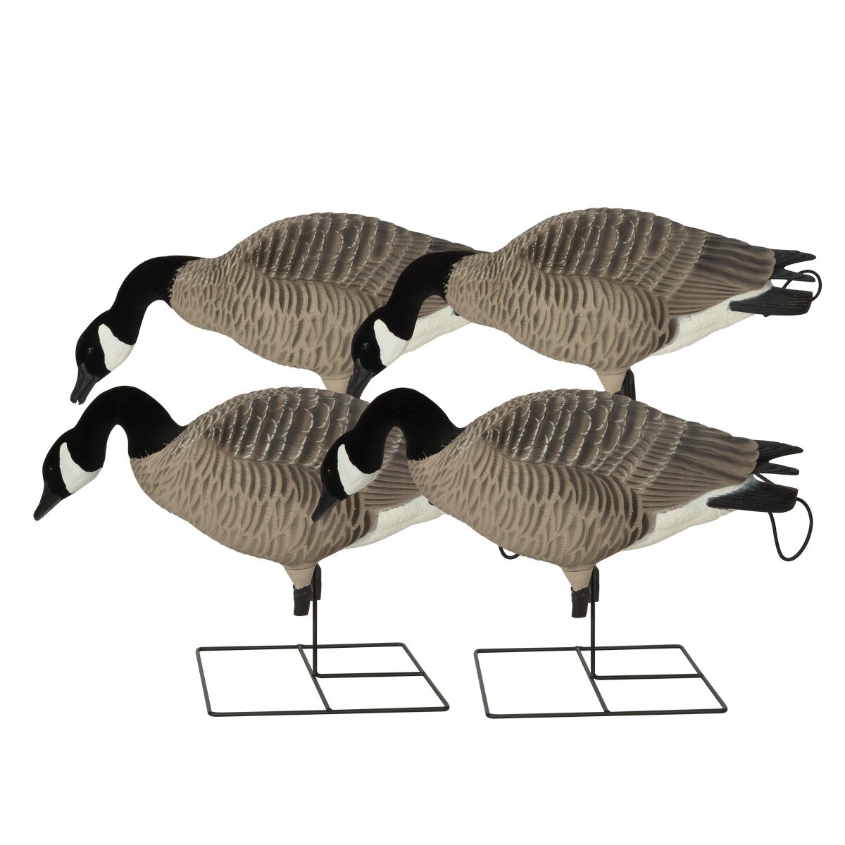 GHG Pro Grade XD Canada Feeder Decoys 4 Pack - Greenhead Gear