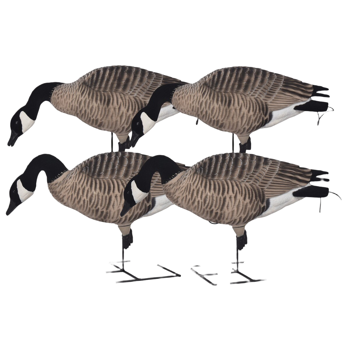 GHG Pro Grade XD FFD Canada Full Body Feeder 4 Pack - Greenhead Gear
