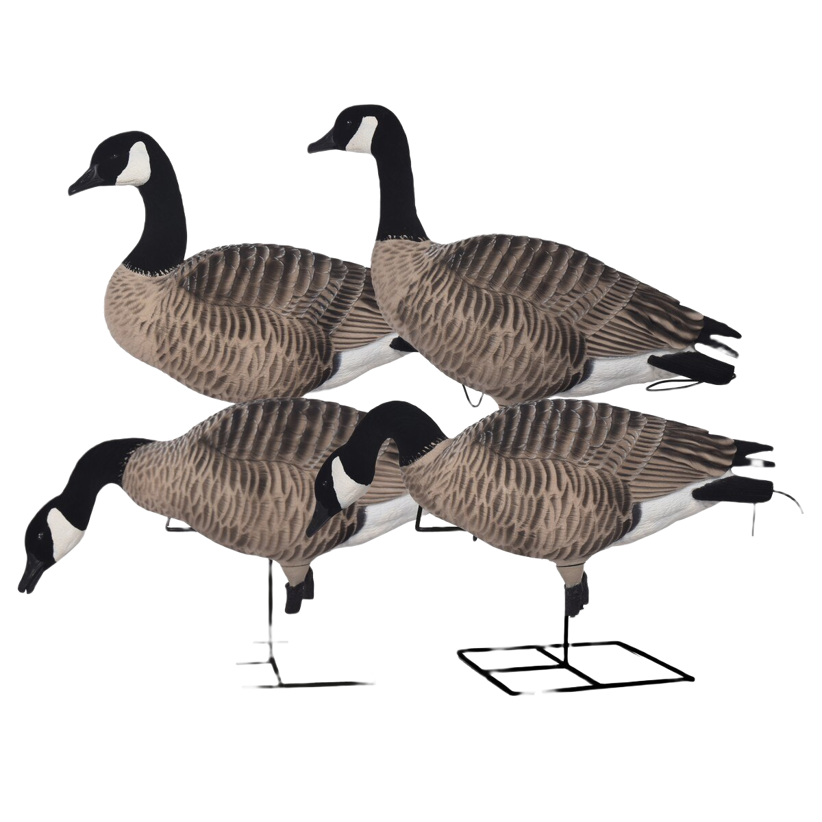 Image of GHG Pro Grade XD FFD Canada Full Body Harvester Decoys 4-Pack