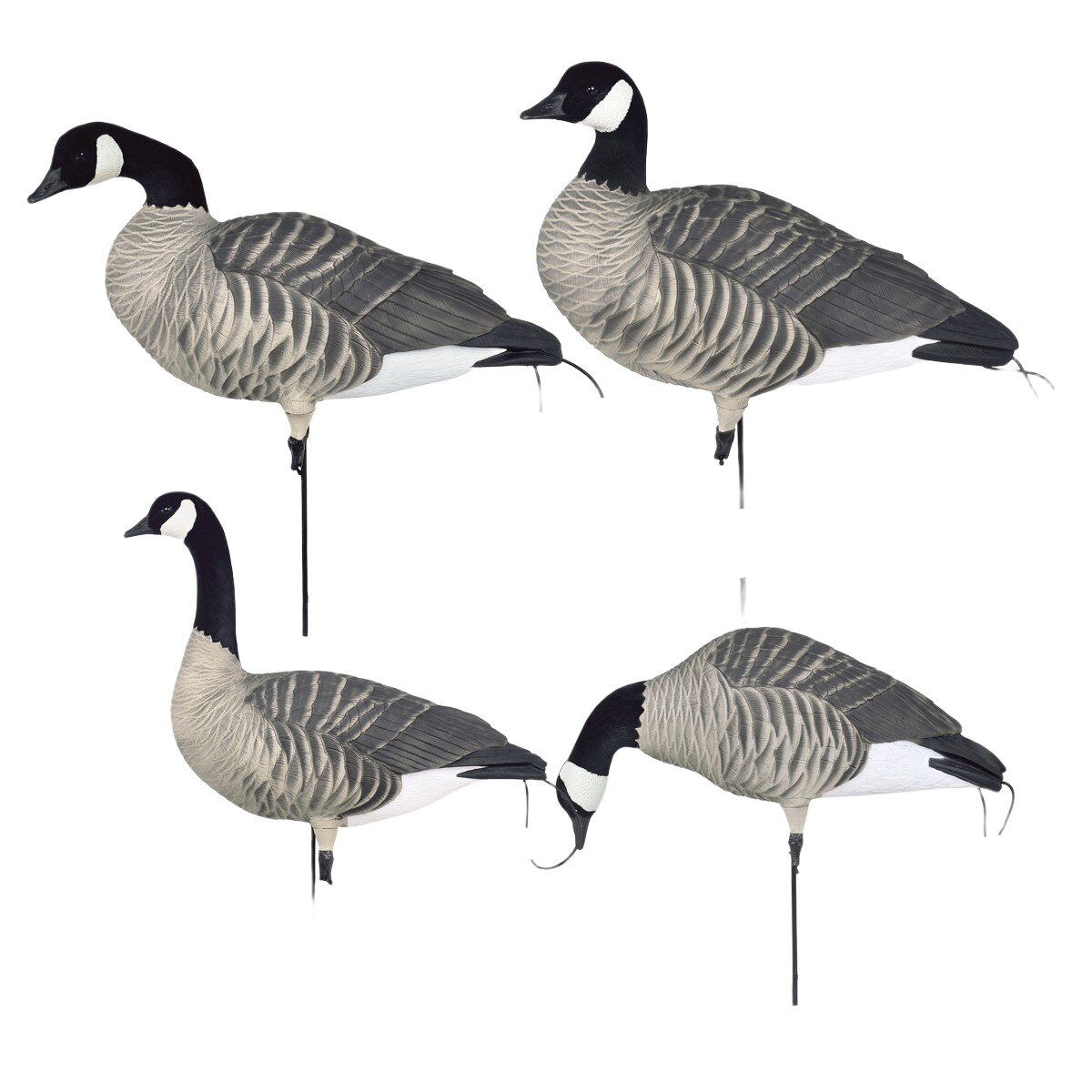 Image of GHG Pro Flex Full Body Honker Harvester Goose Decoys 12 Pack