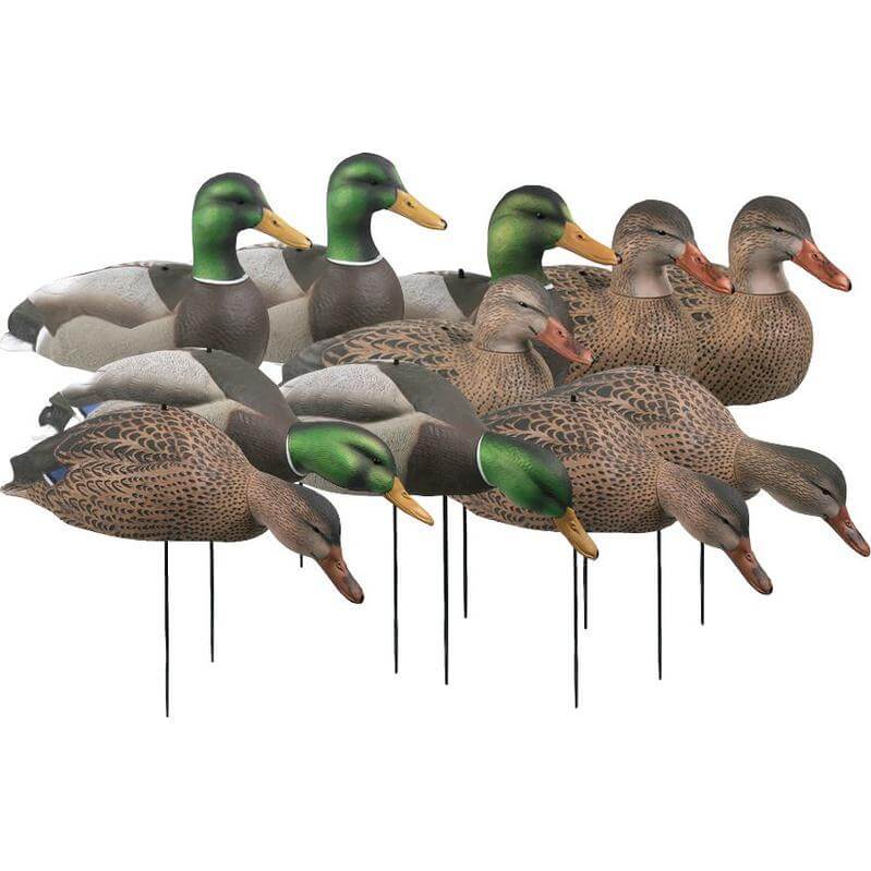 Image of GHG Over-Size Shell Mallard Duck Decoys 12 Pack