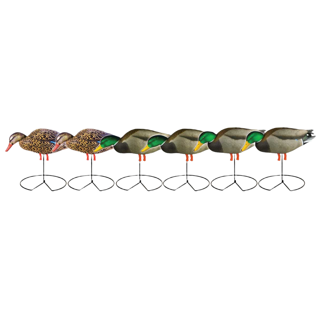 Image of GHG Pro Grade Full Body Mallard Duck Decoys with Flocked Heads - Feeder Pack