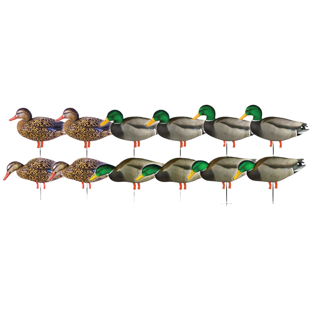 Image of GHG Pro Grade Full Body Mallard Duck Decoys with Flocked Heads - Harvester Pack