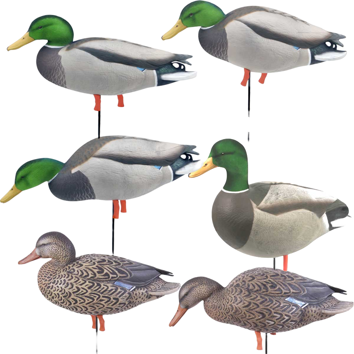Image of GHG Pro Grade FFD Elite Full Body Mallard Duck Decoys Harvester 6 Pack