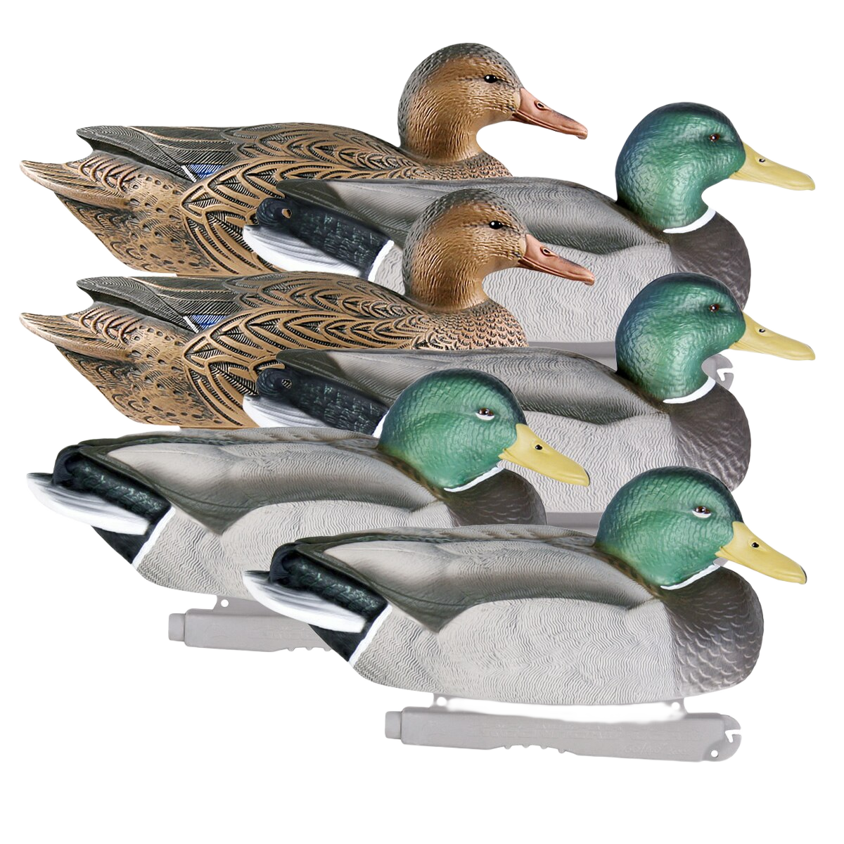 Image of GHG Life-Size Mallard Duck Decoys 6 Pack