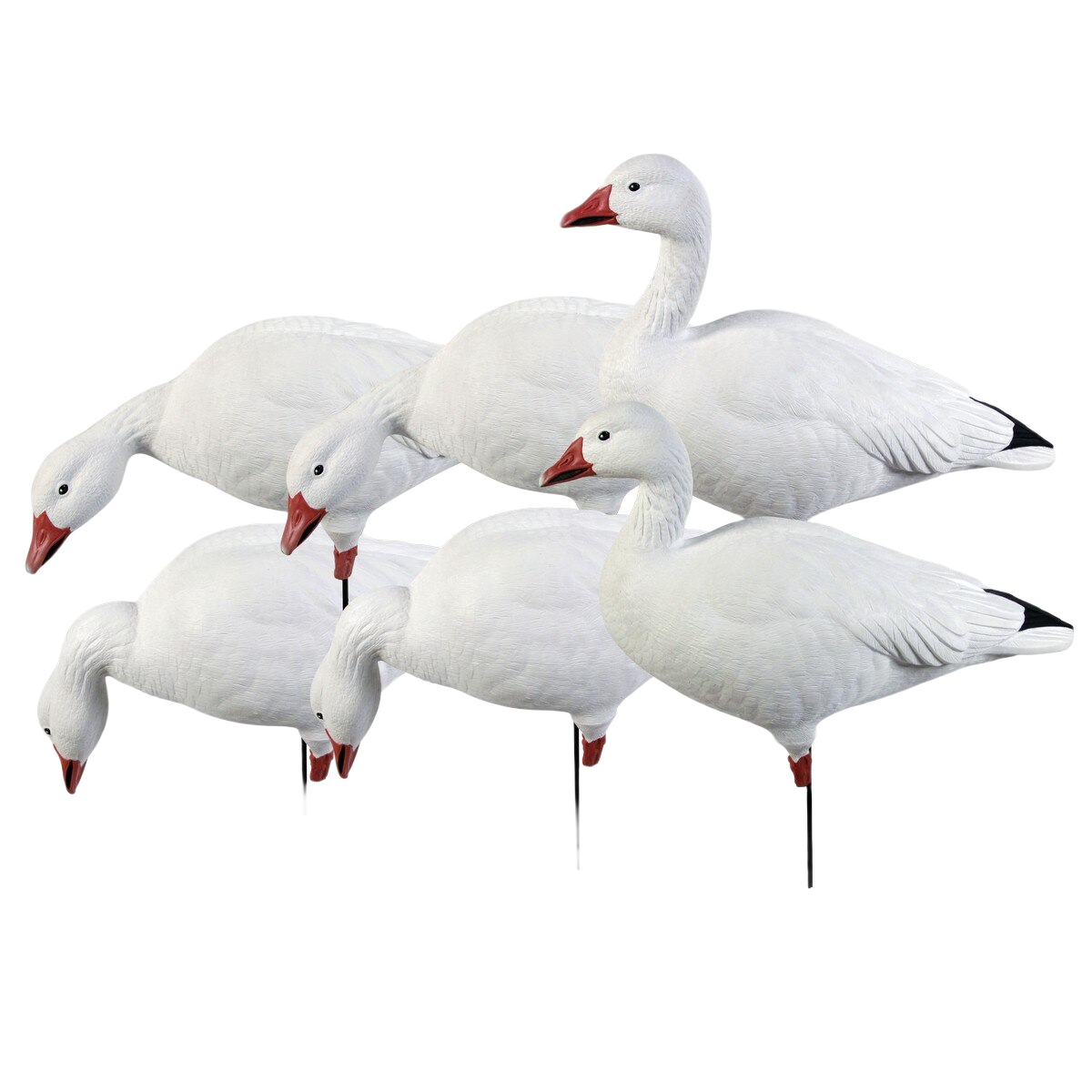 Image of GHG Pro Grade Full Body Snow Harvester Decoys 6 Pack