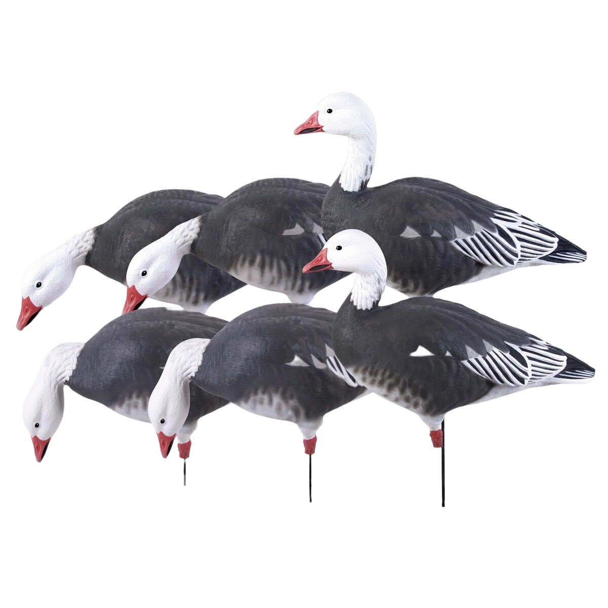 Image of GHG Pro Grade Full Body Blue Goose Harvester Decoys 6 Pack
