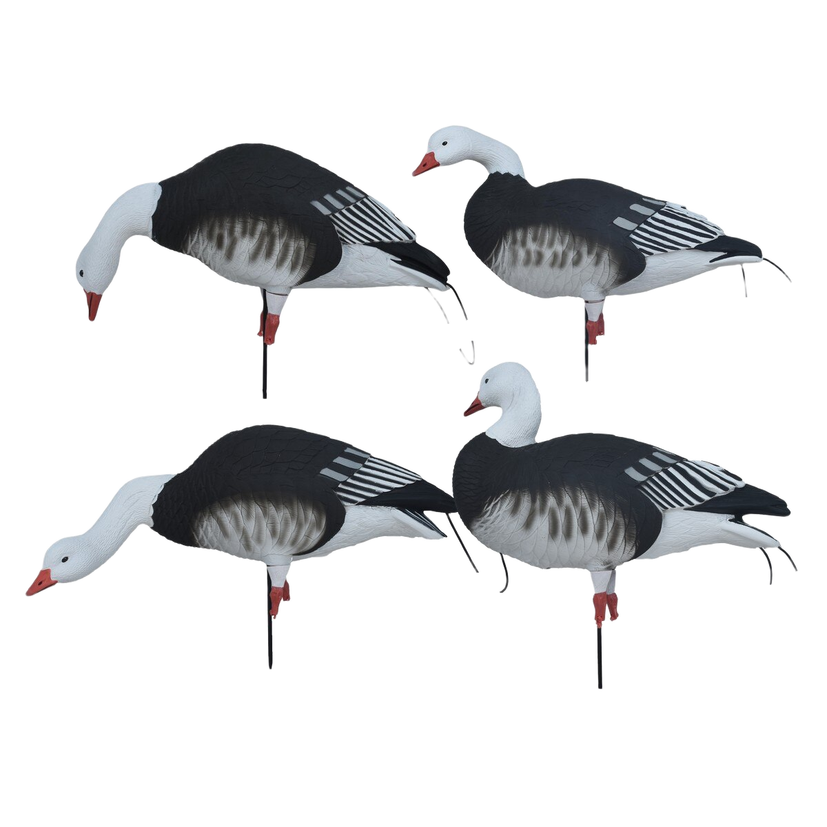 Image of GHG Pro Flex Full Body Blue Harvester Goose Decoys 12 Pack