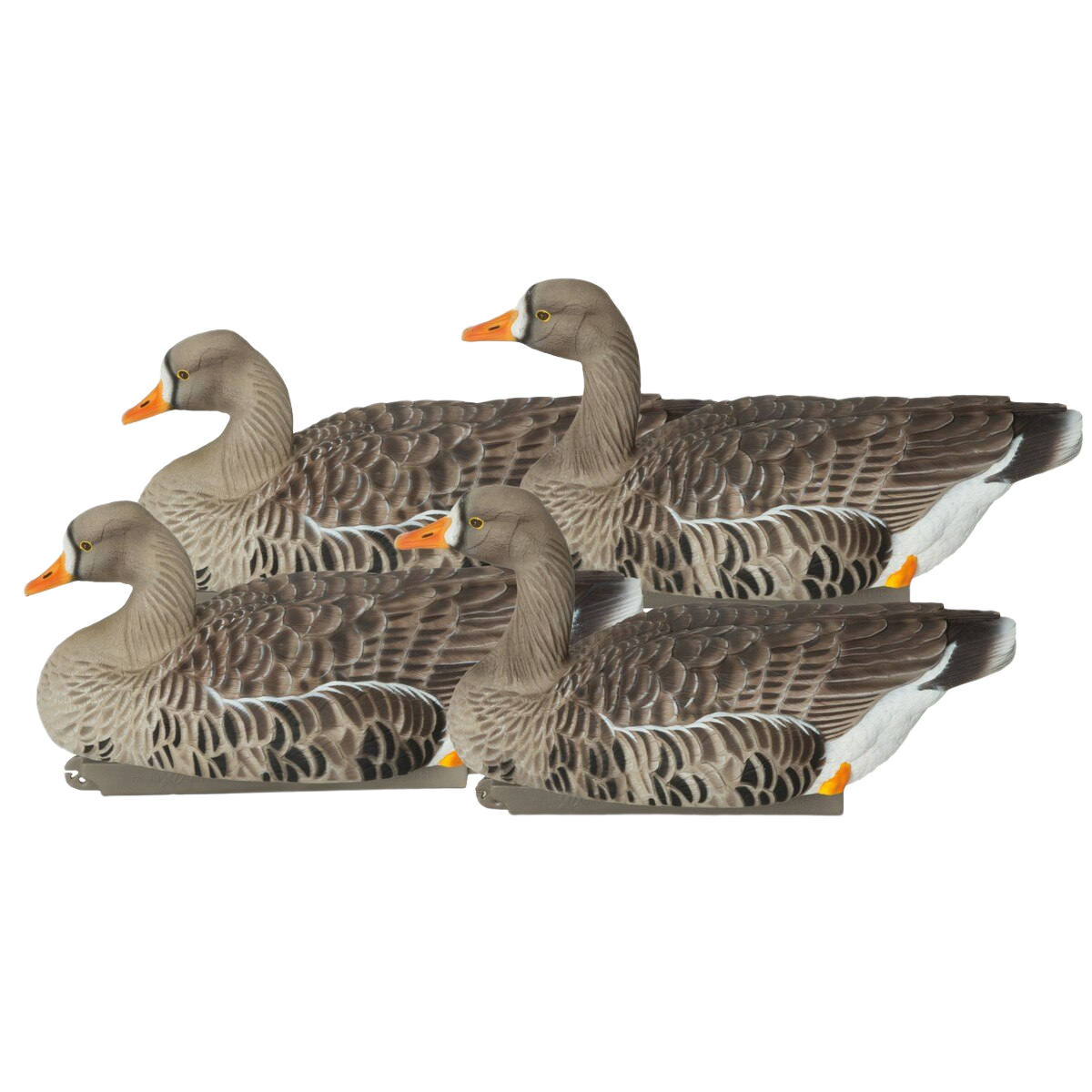 Image of GHG Pro Grade XD Specklebelly Floater Goose Decoys Active 4 Pack
