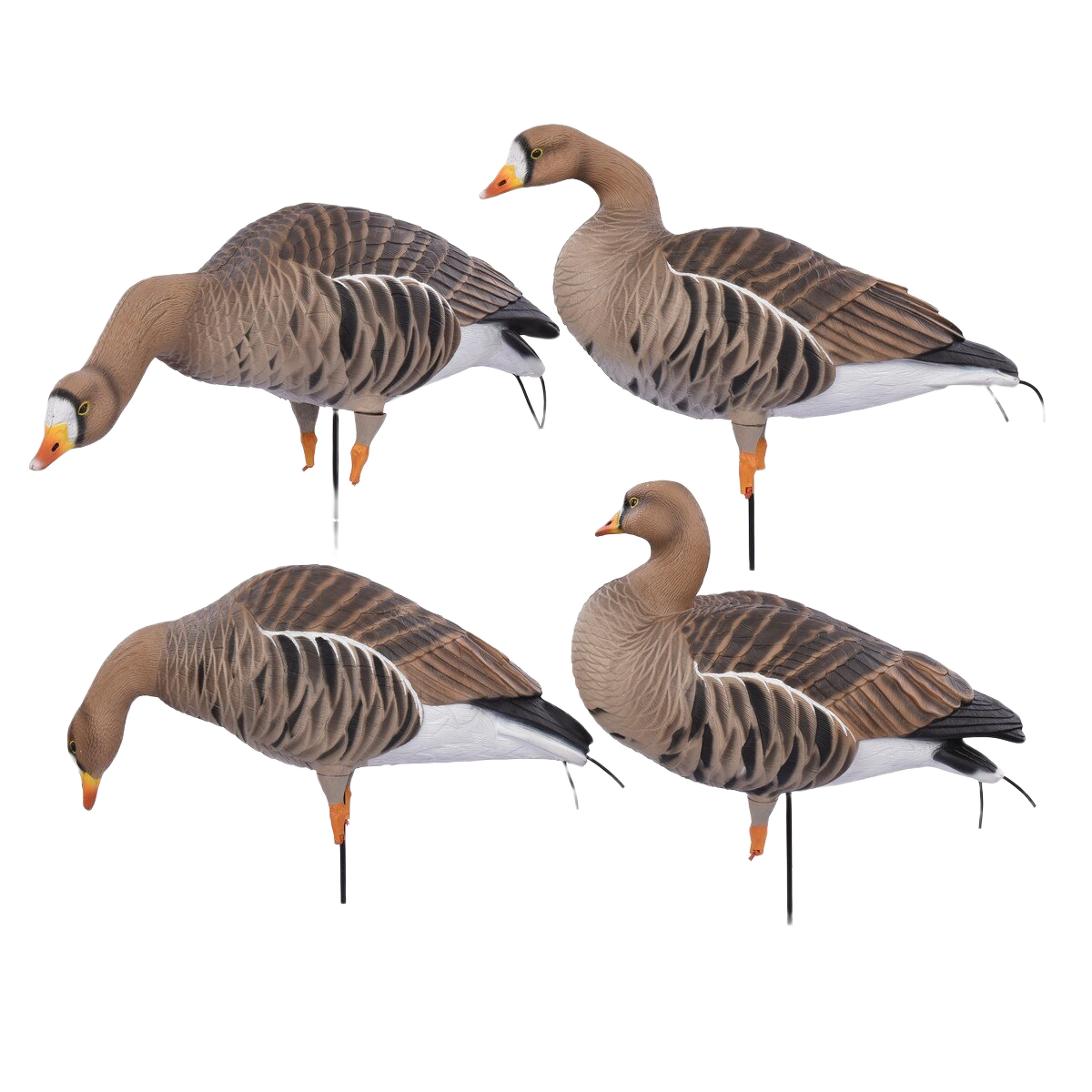 Image of GHG Pro Flex Full Body Speck Goose Decoys Harvester 12 Pack