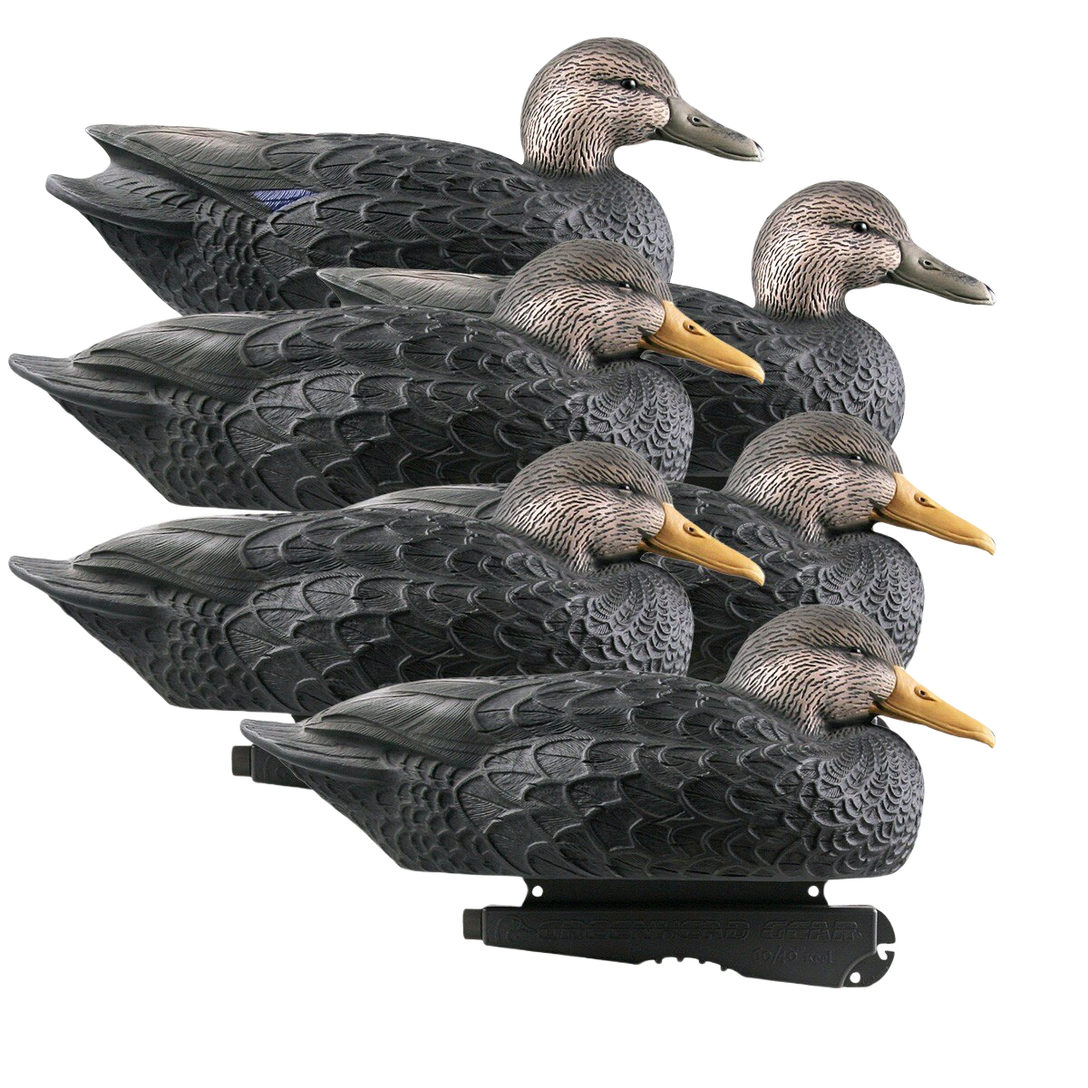 Image of GHG Over-Size Black Duck Decoys - 6 Pack