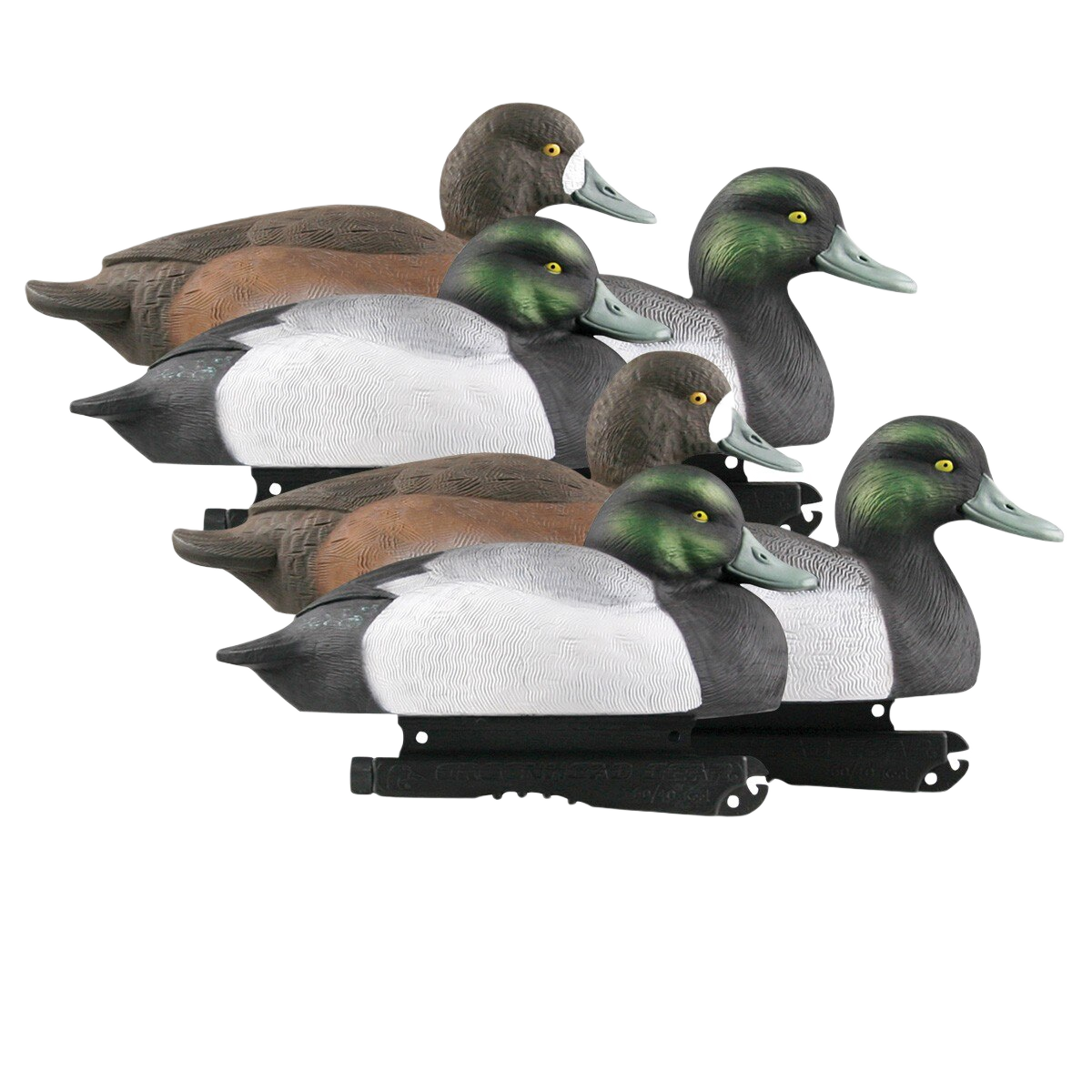 GHG Life-Size Blue Bill Duck Decoys 6 Pack