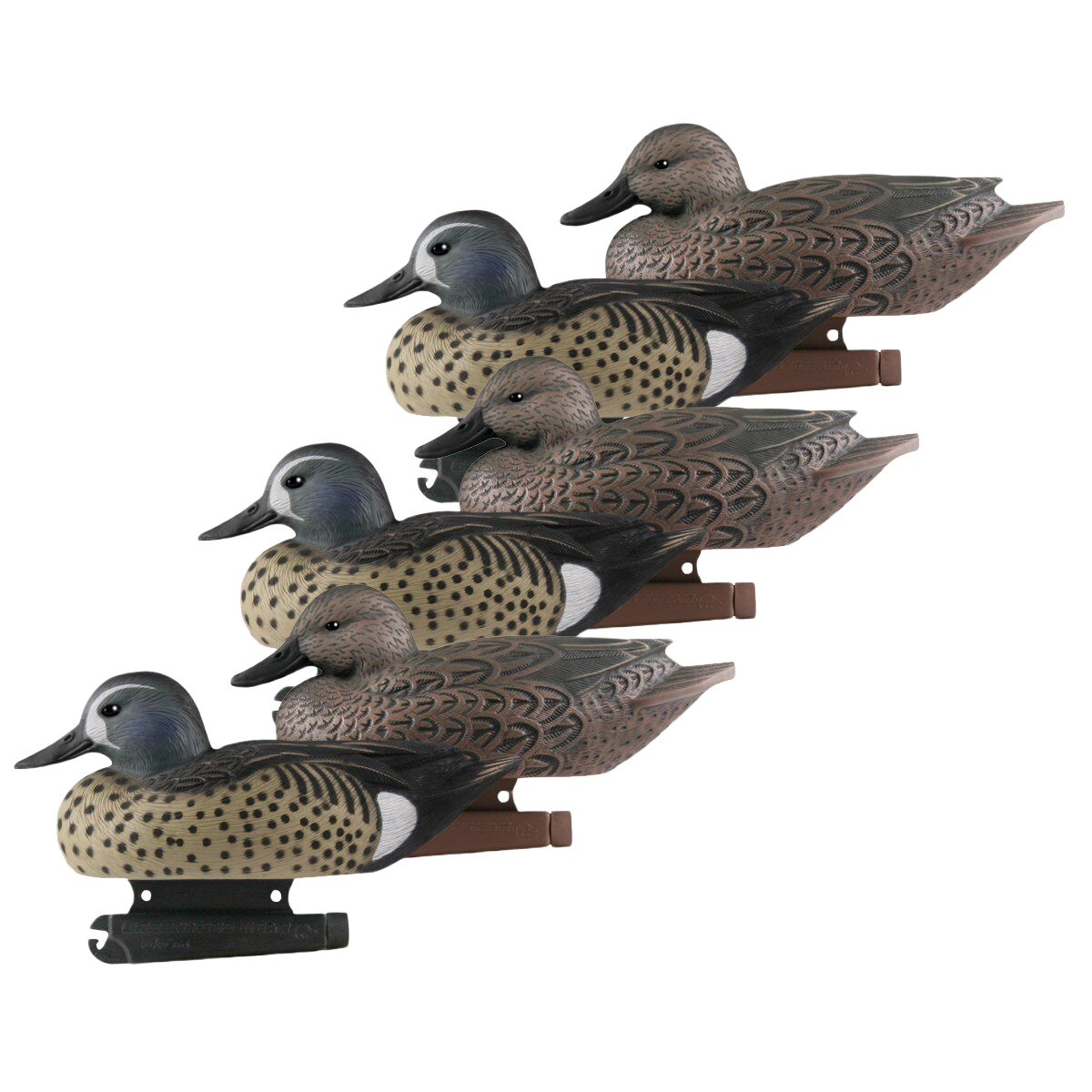 Image of GHG Life Size Blue-Winged Teal Duck Decoys 6 Pack