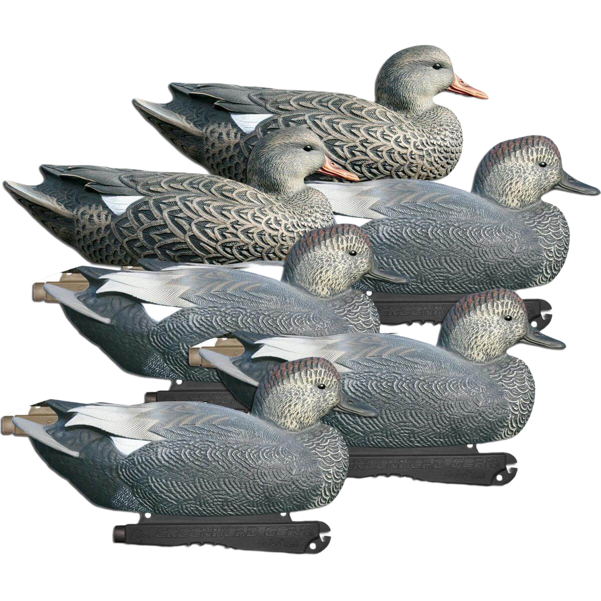 Image of GHG Life Size Gadwall Duck Decoys 6 Pack