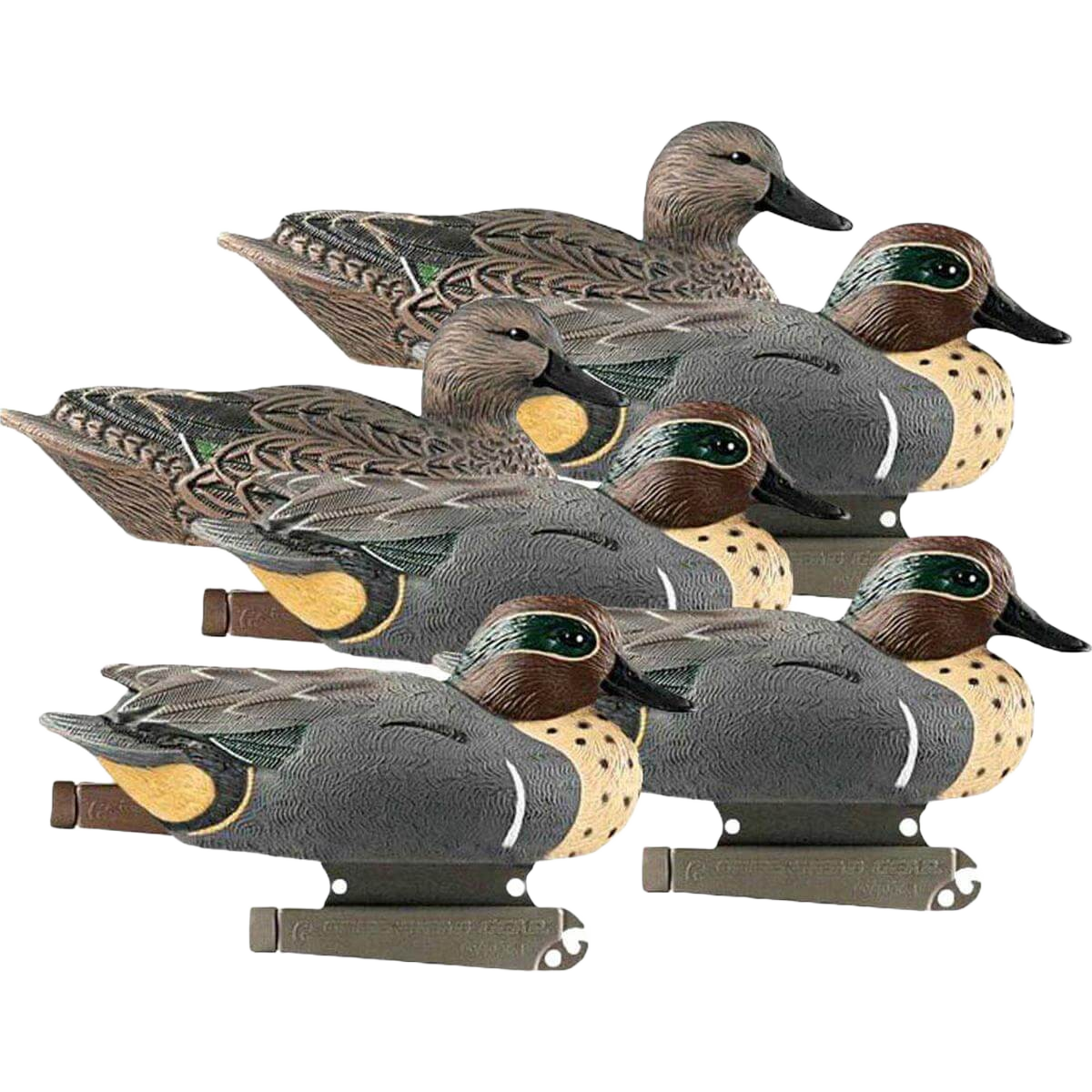 Image of GHG Life Size Green Winged Teal Duck Decoys 6 Pack