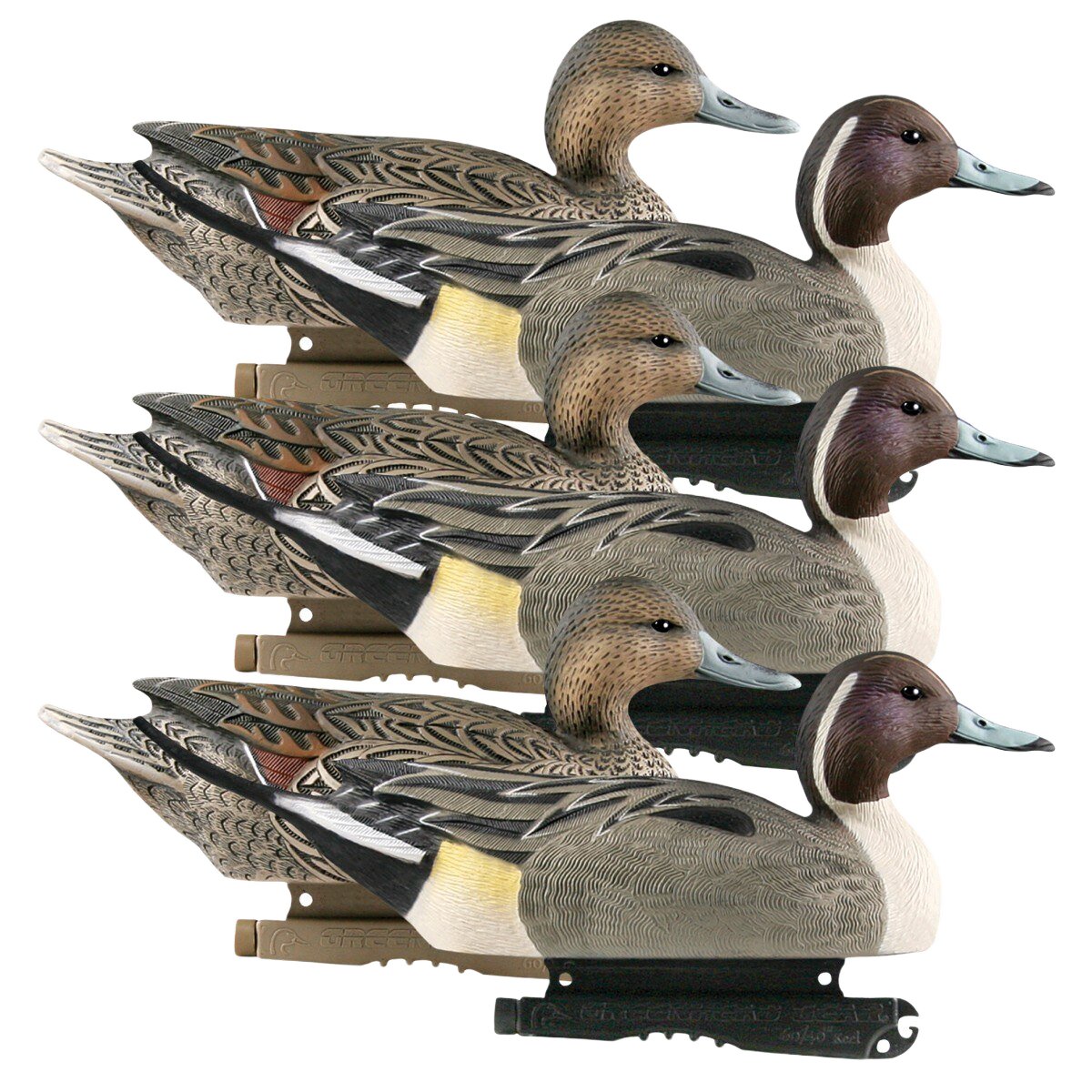 Image of GHG Life Size Pintail Duck Decoys 6 Pack