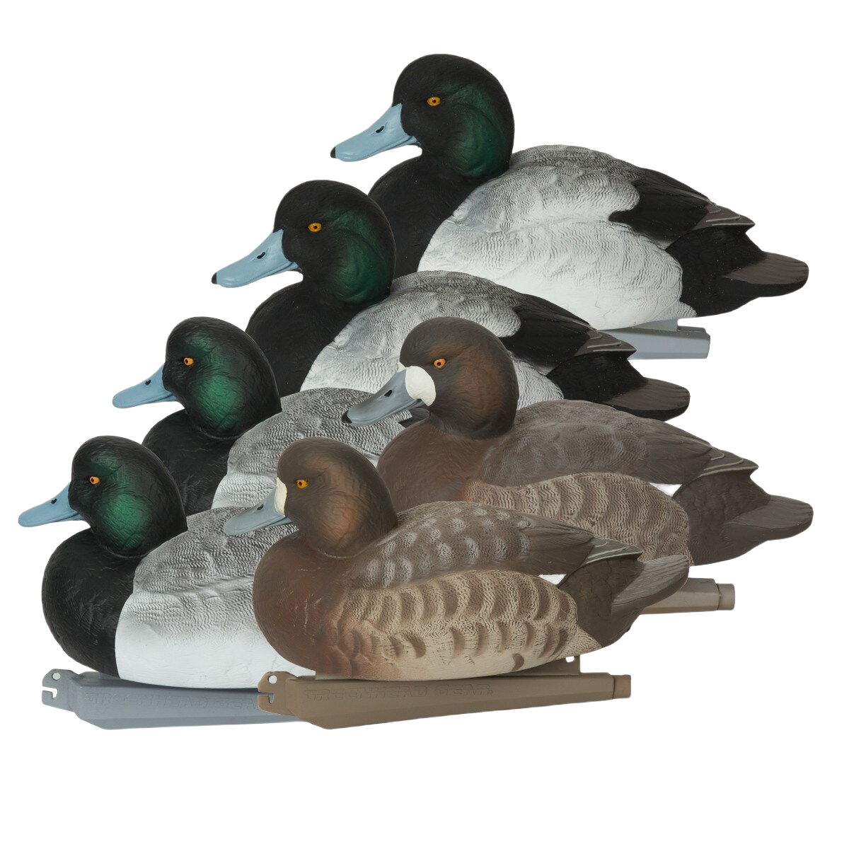 Image of GHG Pro Grade Foam-Filled Blue-Bill Duck Decoys 6 Pack
