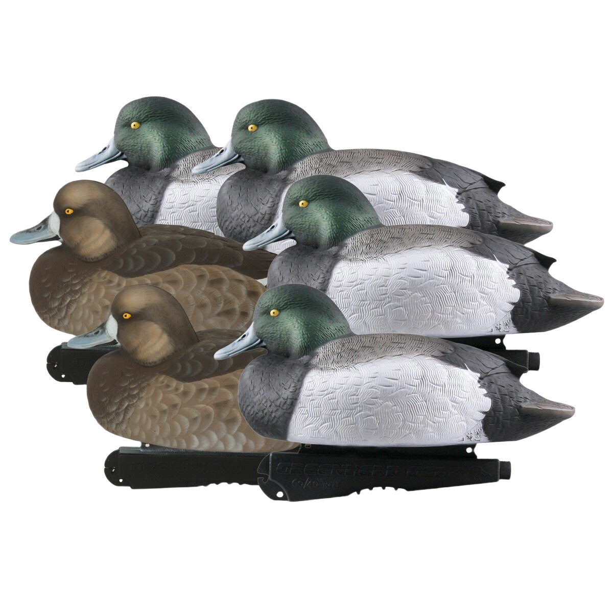 Image of GHG Hunter Series Over Size Foam-Filled Bluebill Duck Decoys 6 Pack