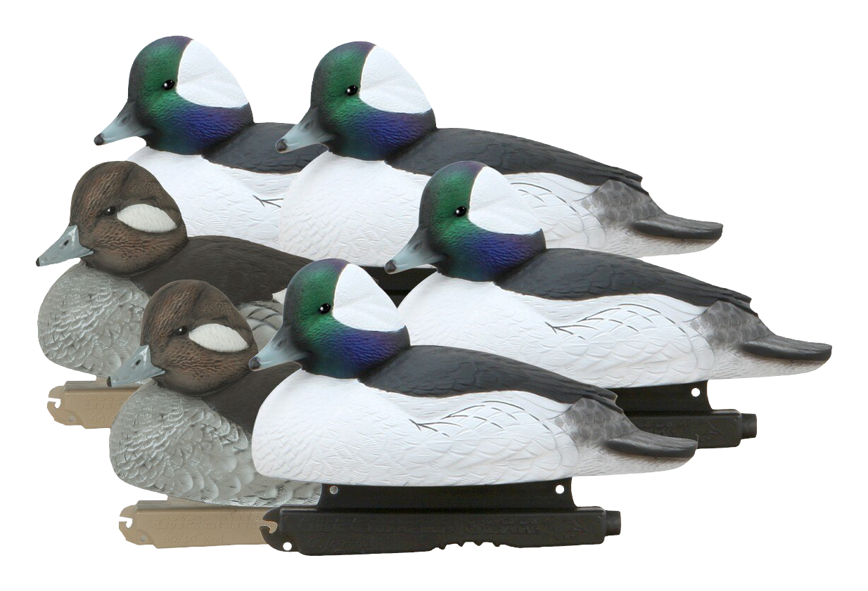 Image of GHG Hunter Series Over Size Foam Filled Bufflehead Decoys 6 Pack