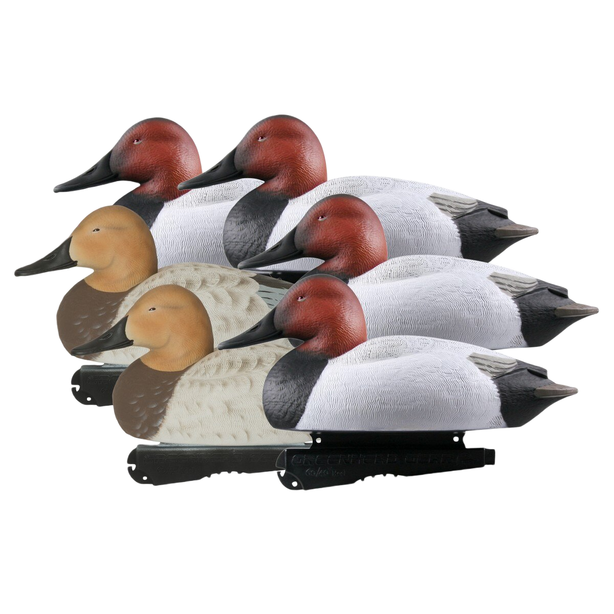 Image of GHG Hunter Series Over Size Foam Filled Canvasback Decoys 6 Pack