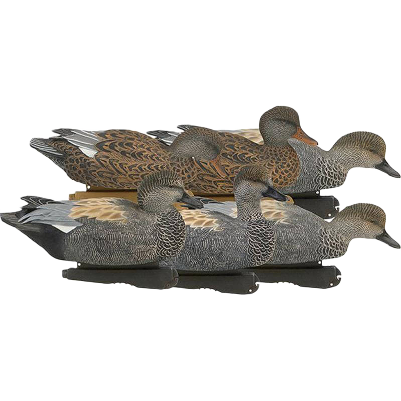 Image of GHG Pro Grade Gadwall Duck Decoys 6 Pack