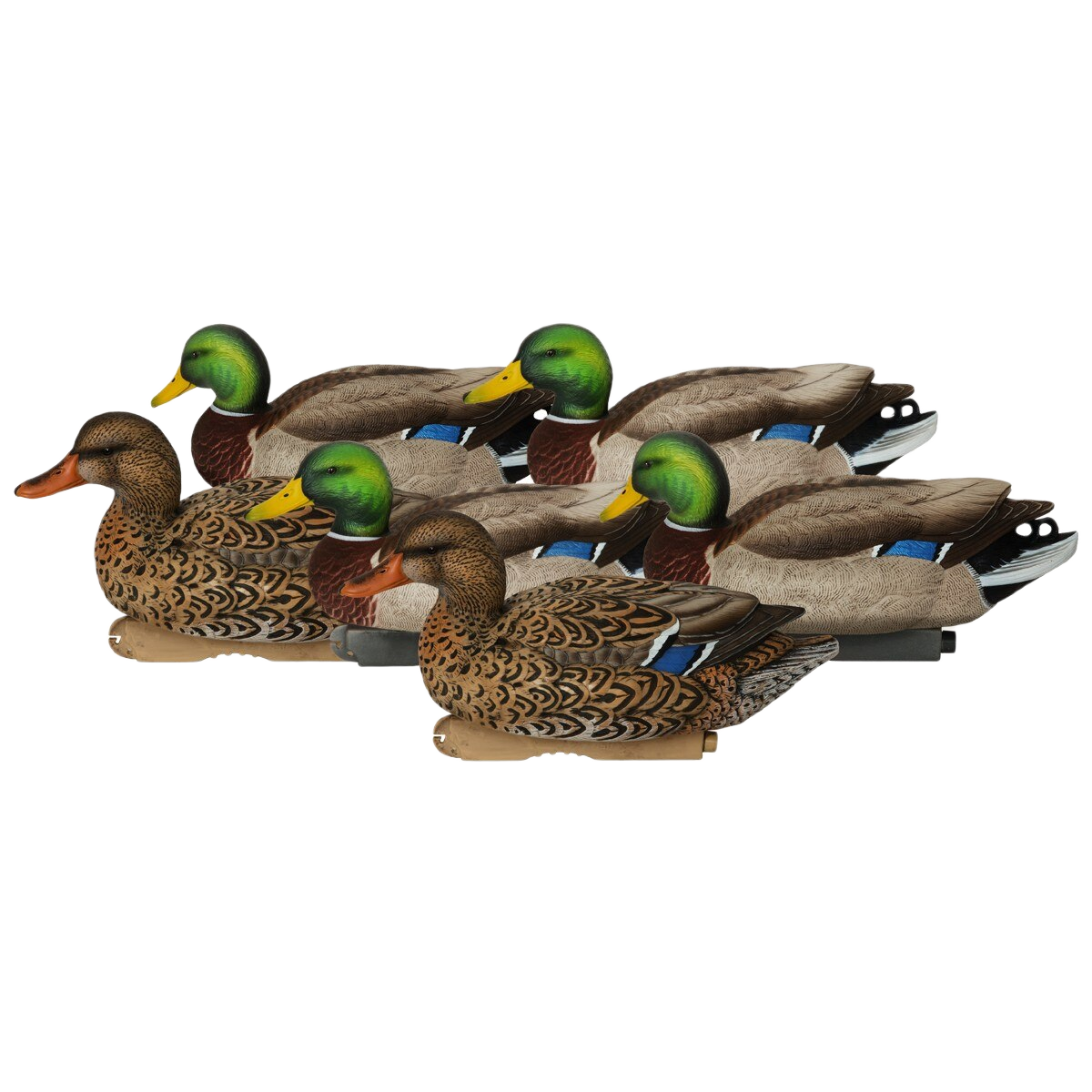 Image of GHG Pro Grade XD Series Mallard Duck Decoys 6 Pack - Active Pack