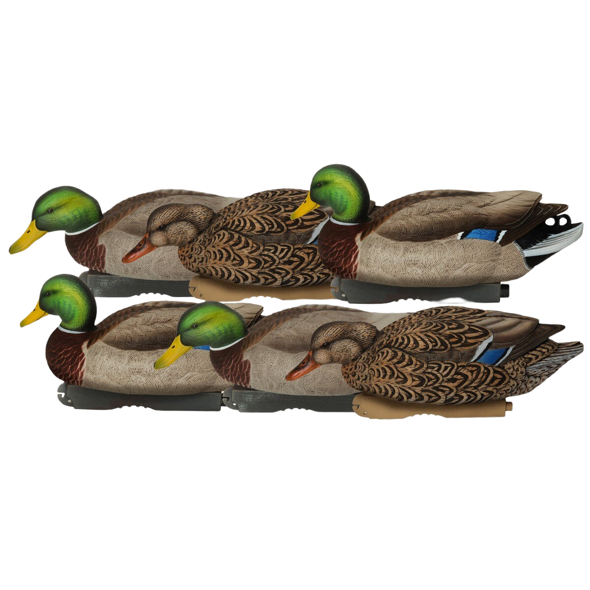 Image of GHG Pro Grade XD Series Mallard Duck Decoys 6 Pack - Feeder Pack