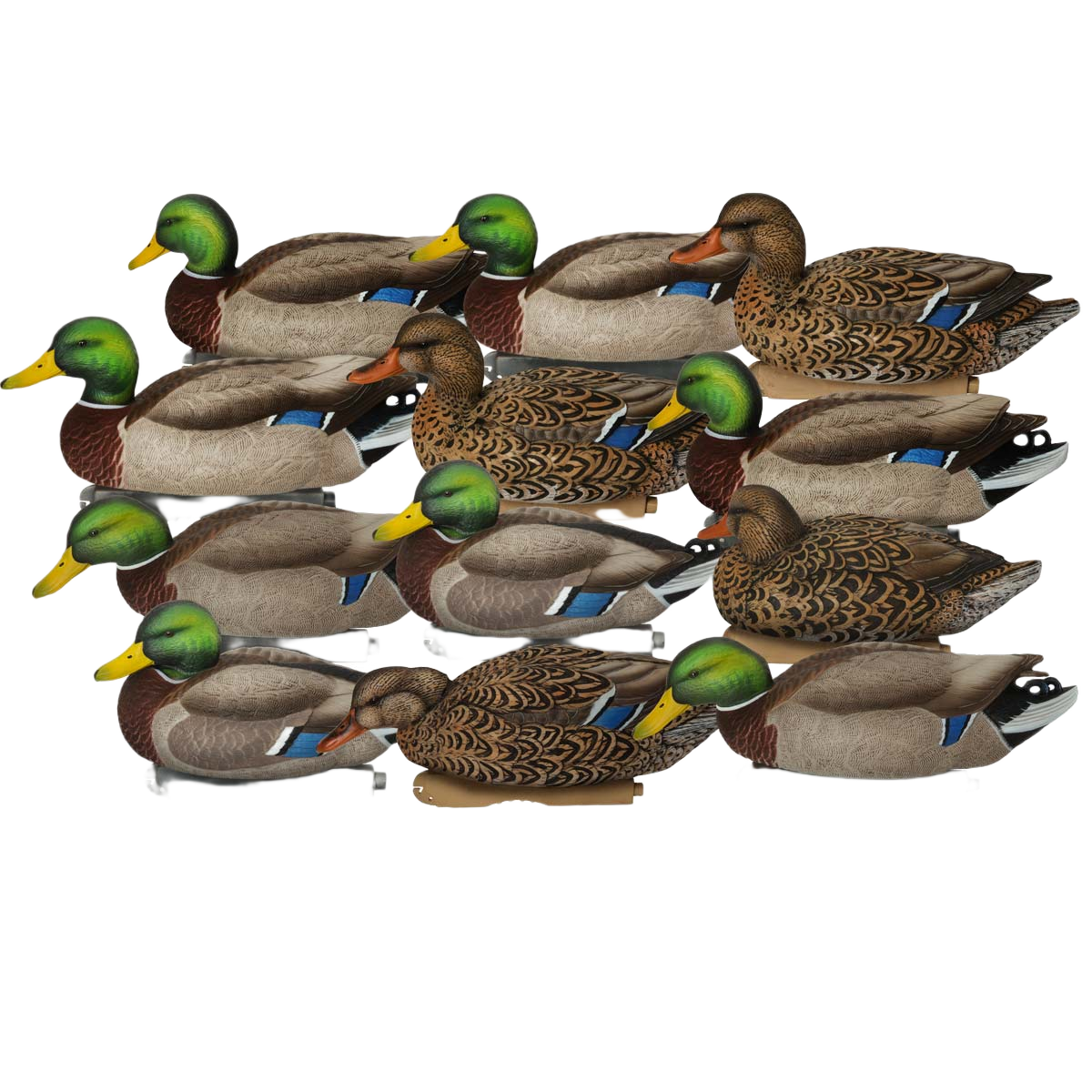 GHG Pro Grade XD Series Mallards Harvester Decoys 12-Pack