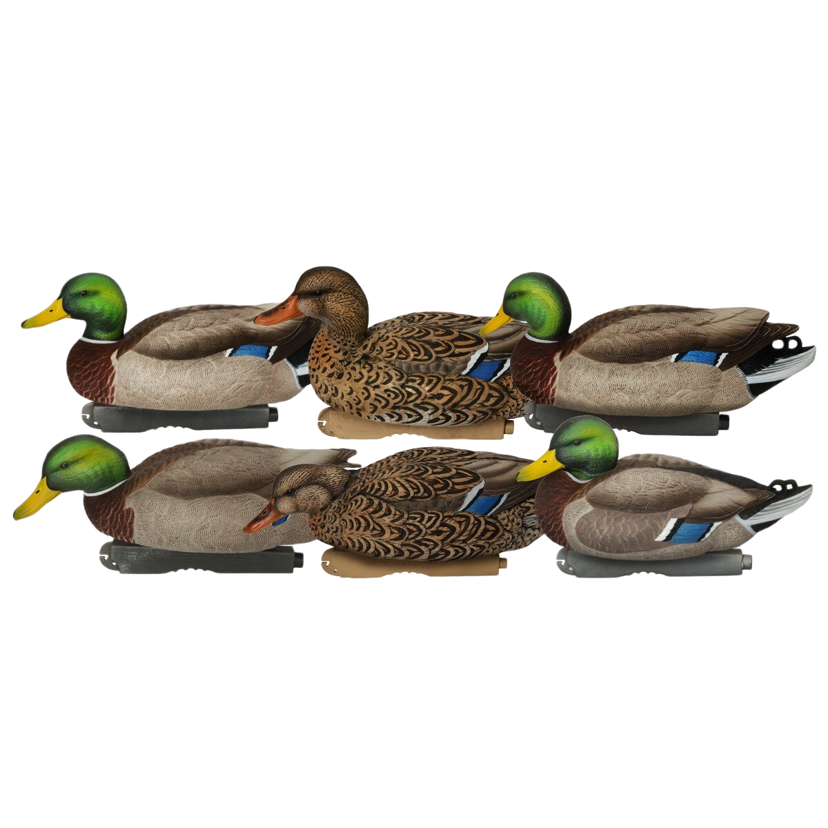 Image of GHG Pro Grade XD Series Mallard Duck Decoys 6 Pack - Harvester Pack