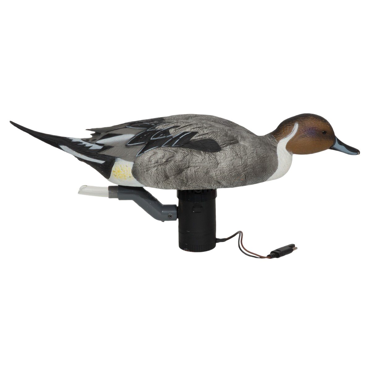 Image of GHG Finisher Swimmer Duck Decoy - Pintail Drake