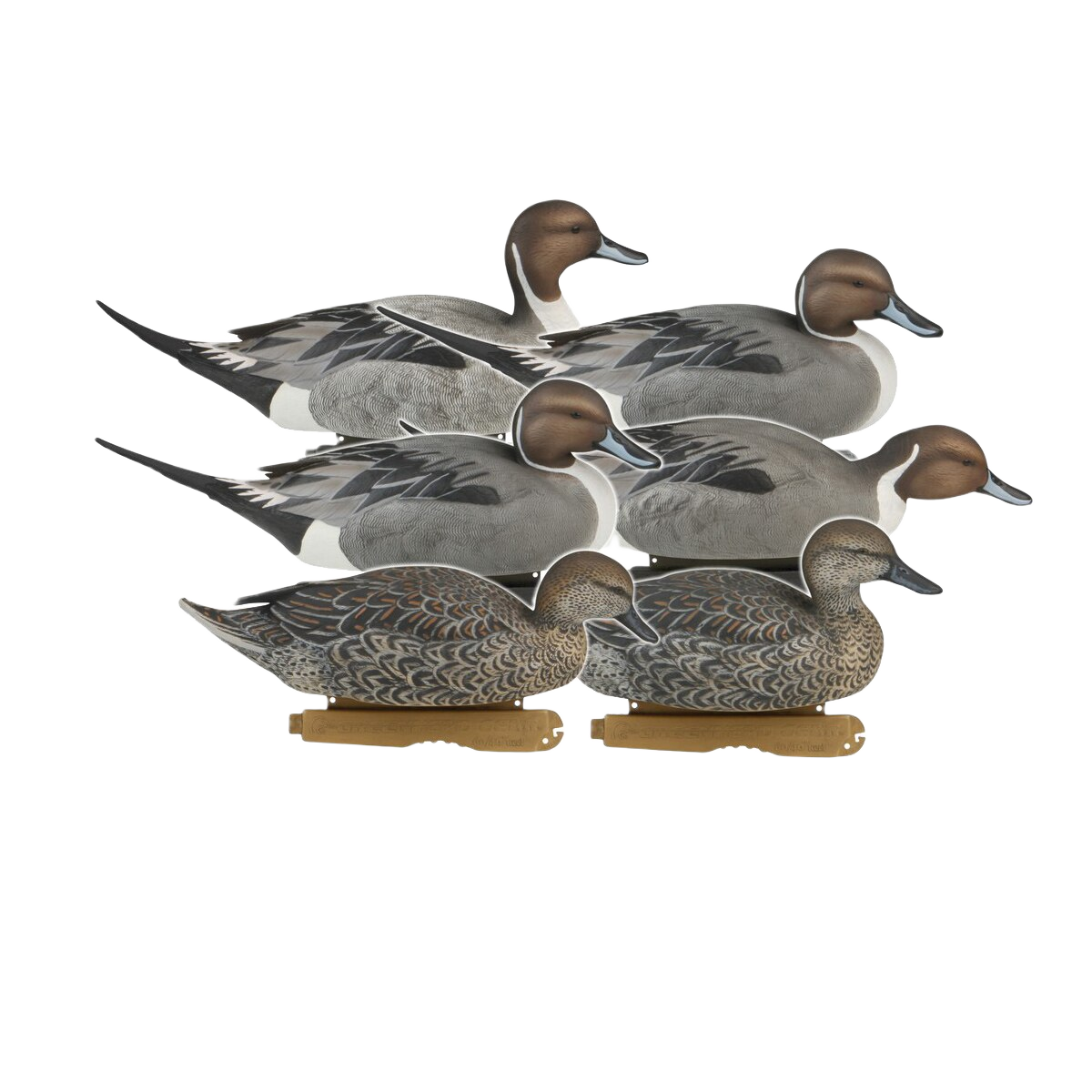 Image of GHG Pro Grade Pintail Duck Decoys 6 Pack