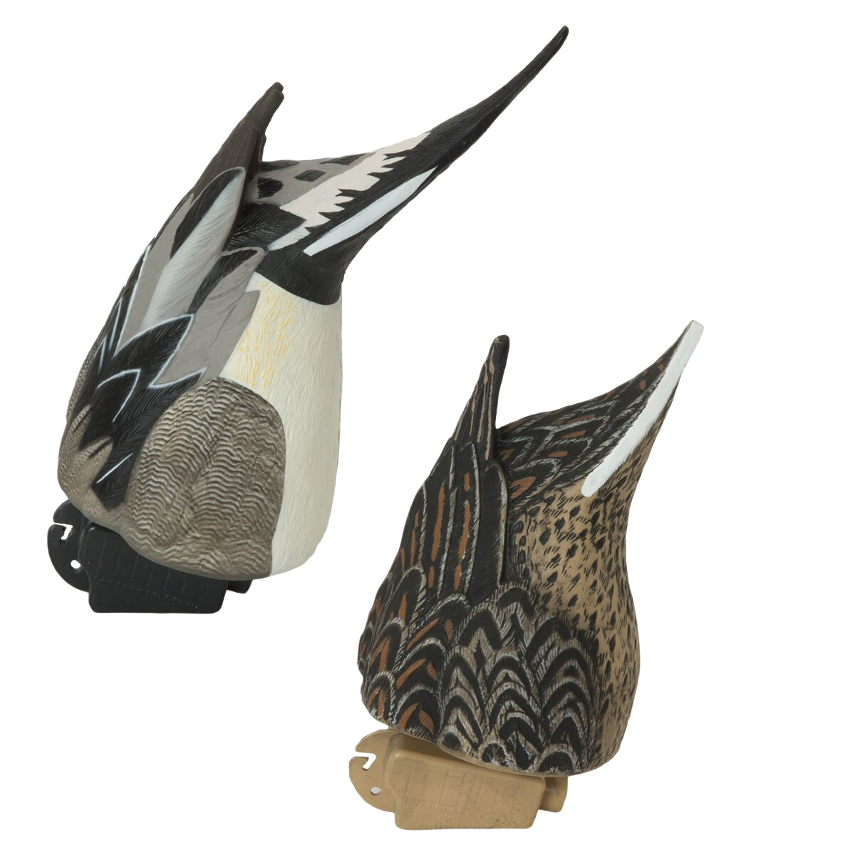 Image of GHG Pro Grade Pintail Butt-Up Feeder Duck Decoys 2 Pack