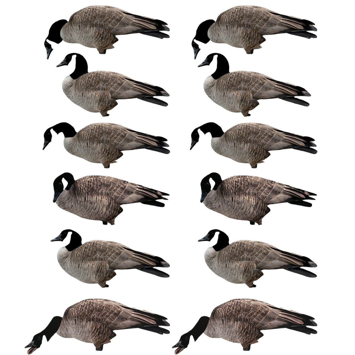 Image of GHG Pro Grade Silo Canada Decoys Flocked Heads Harvester 12 Pack