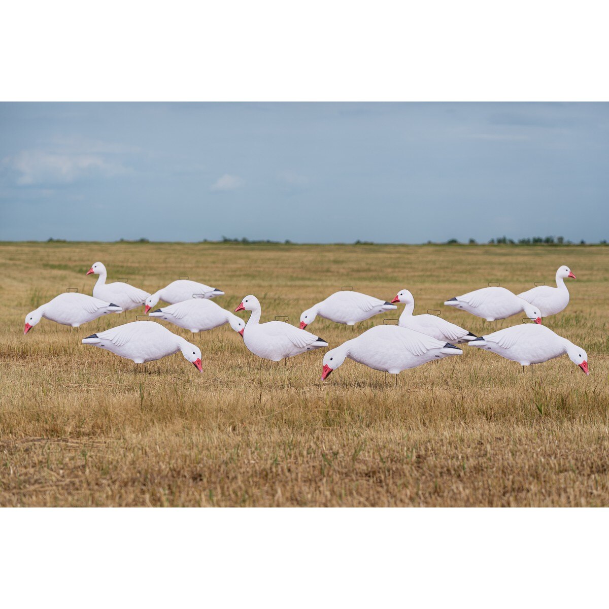 Image of GHG Pro Grade Silhouette Snow Harvester Decoys 12 Pack