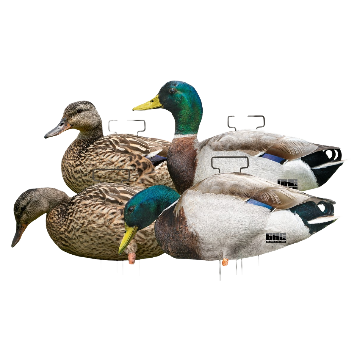 Image of GHG Pro Grade Silhouette Mallards Harvester Decoys 12 Pack