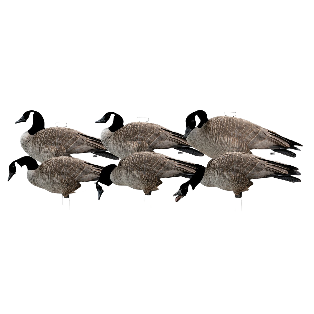 Image of GHG Pro Grade Canada Goose Silo Decoys 12 Pack