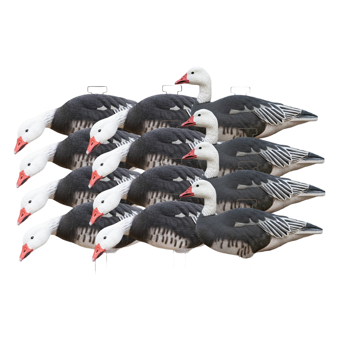 GHG Pro Grade Silhouette Decoys Blue Goose 12 Pack                                                                              