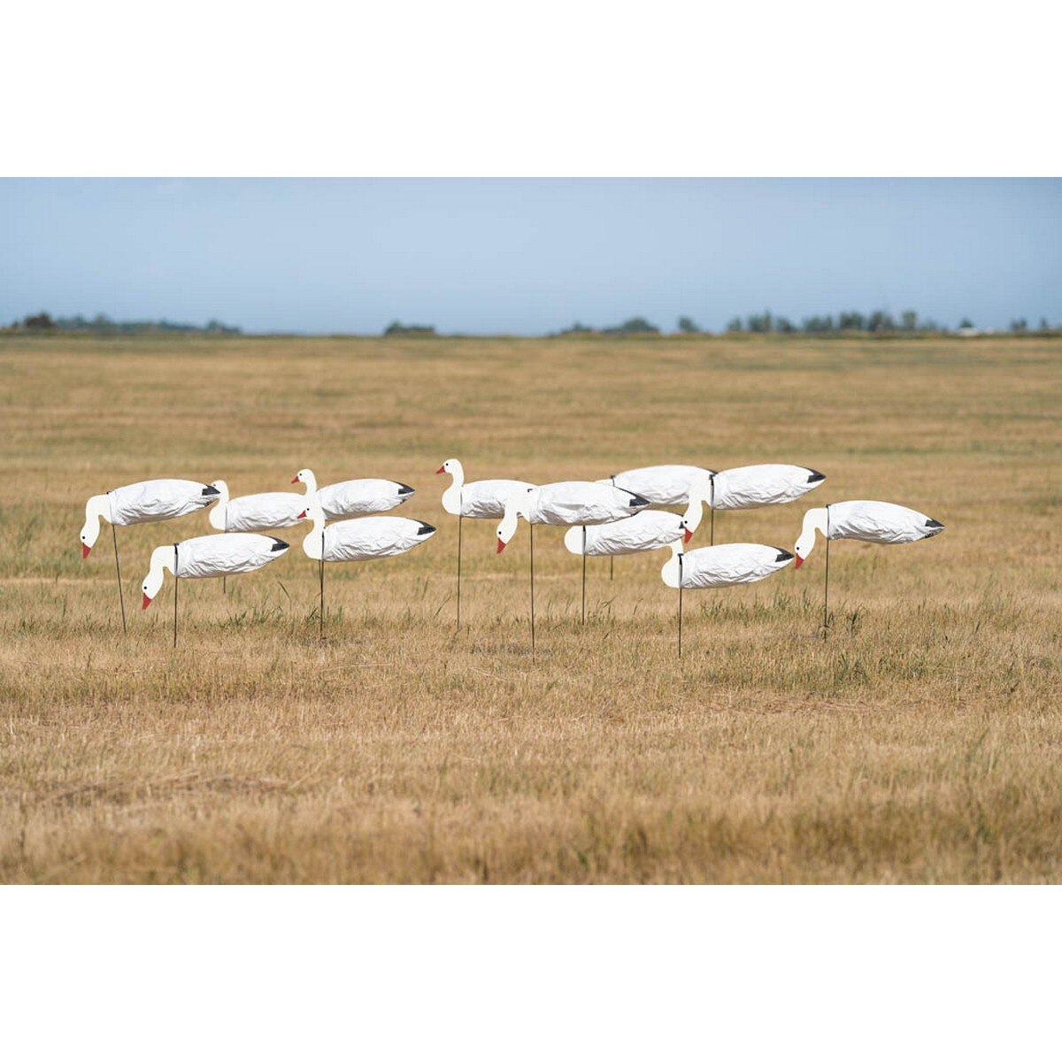 Image of GHG Pro Grade Sock Decoys Snow Goose With Heads 12 Pack