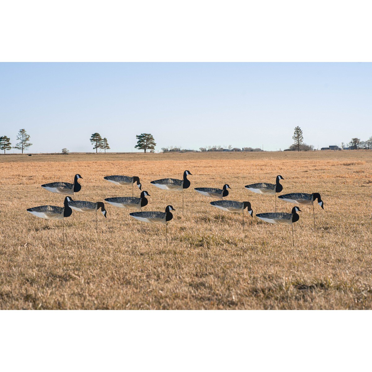 GHG Pro Grade Canada Goose Windsock Decoys With Painted Heads 12 Pack