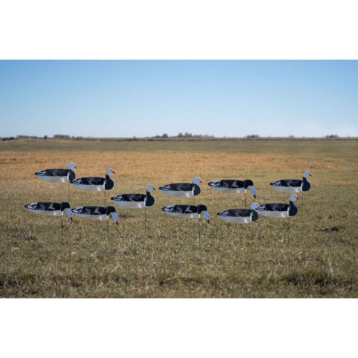 GHG Pro Grade WindSock Decoys Blue Goose With Heads 12 Pack