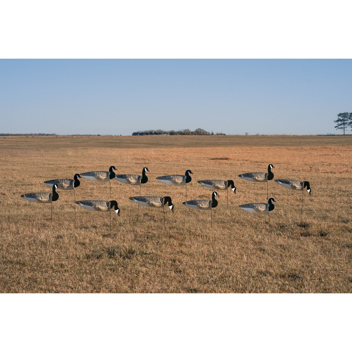 GHG Pro Grade Canada Goose Windsock Decoys Tall With Flocked Heads 12 Pack - Greenhead Gear