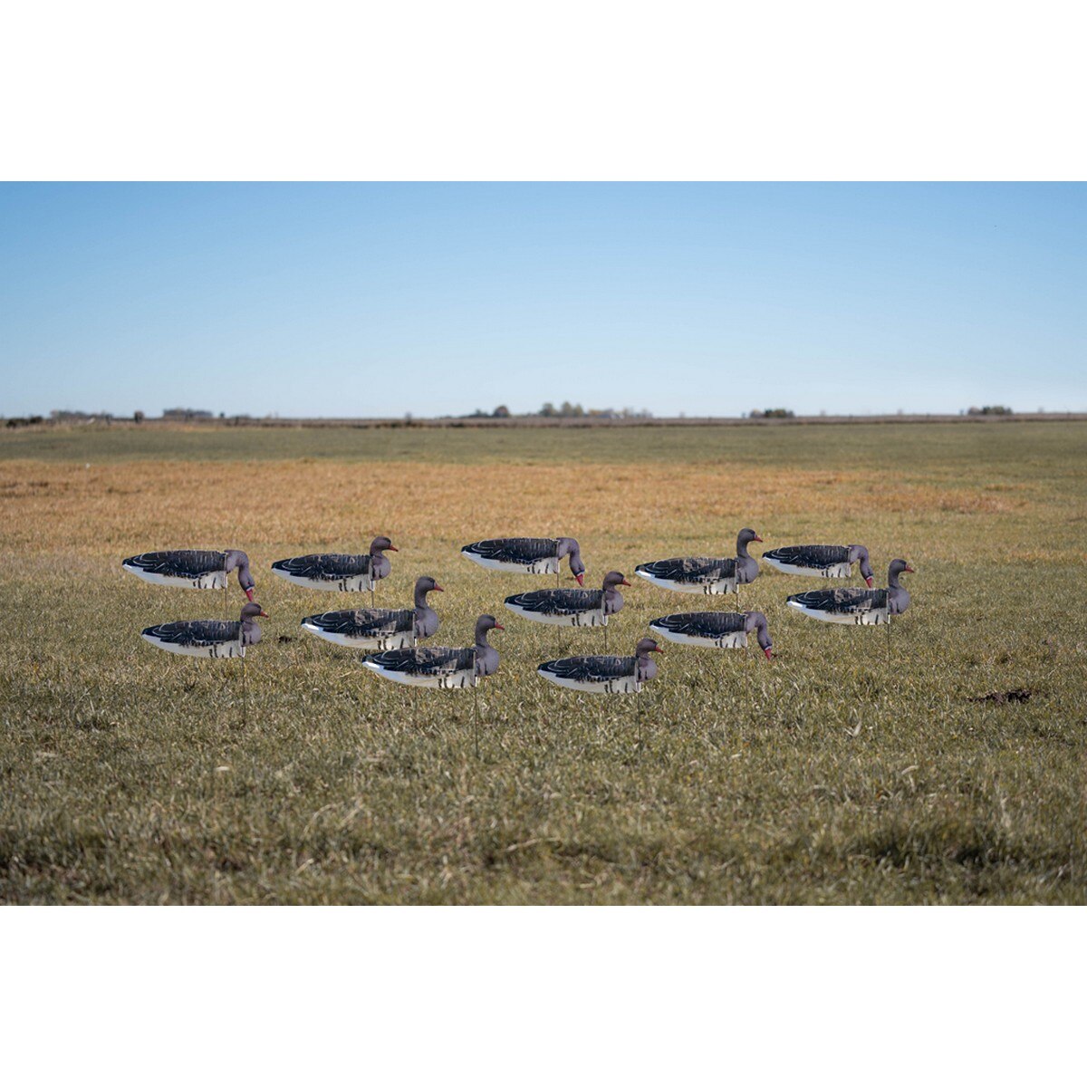 GHG Pro Grade Specklebelly Tall Windsock Decoys with Heads 12 Pack - Greenhead Gear