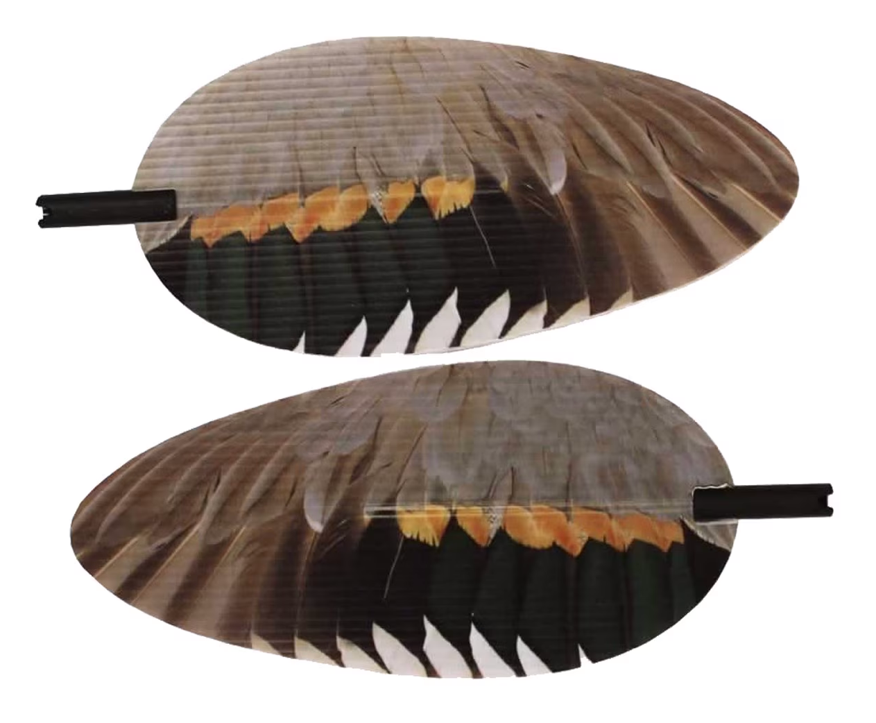 Image of Mojo Elite Series Decoy Replacement Wings - Pintail - Left