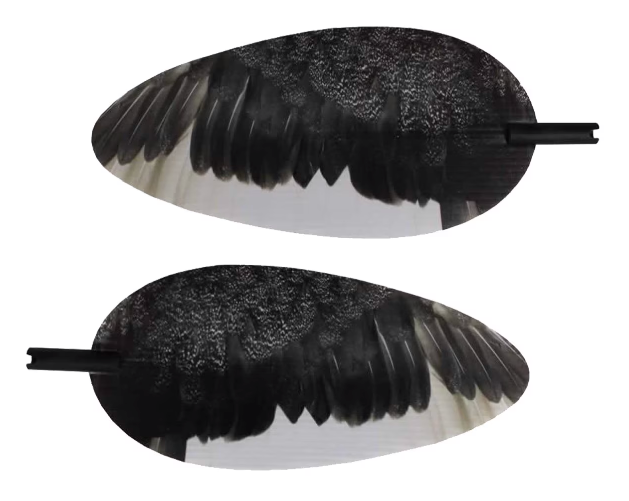 Image of Mojo Elite Series Decoy Replacement Wings - Bluebill - Right