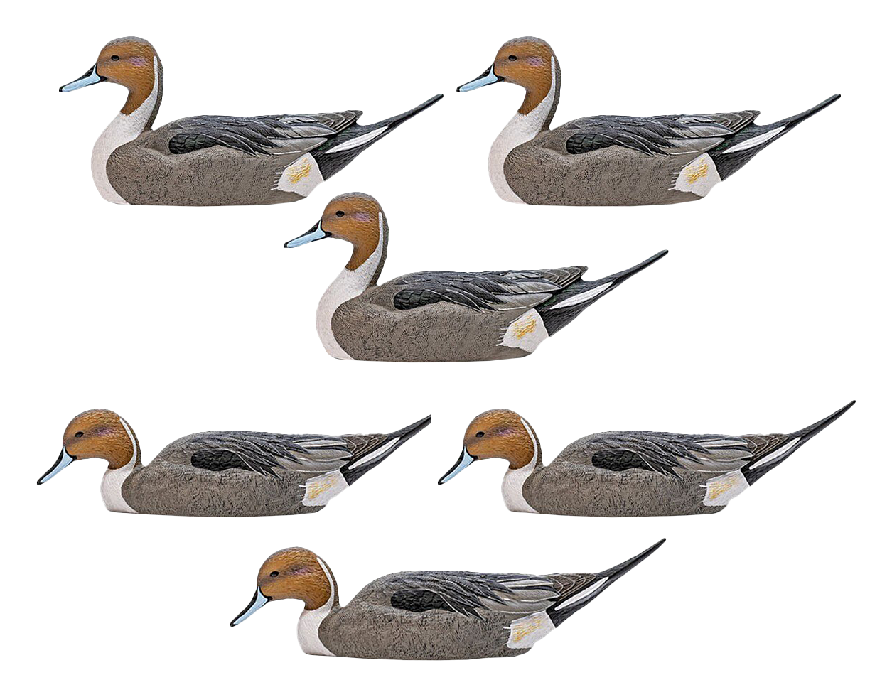 Rig'Em Right Mainline Pintail Duck Decoys 6 Pack                                                                                