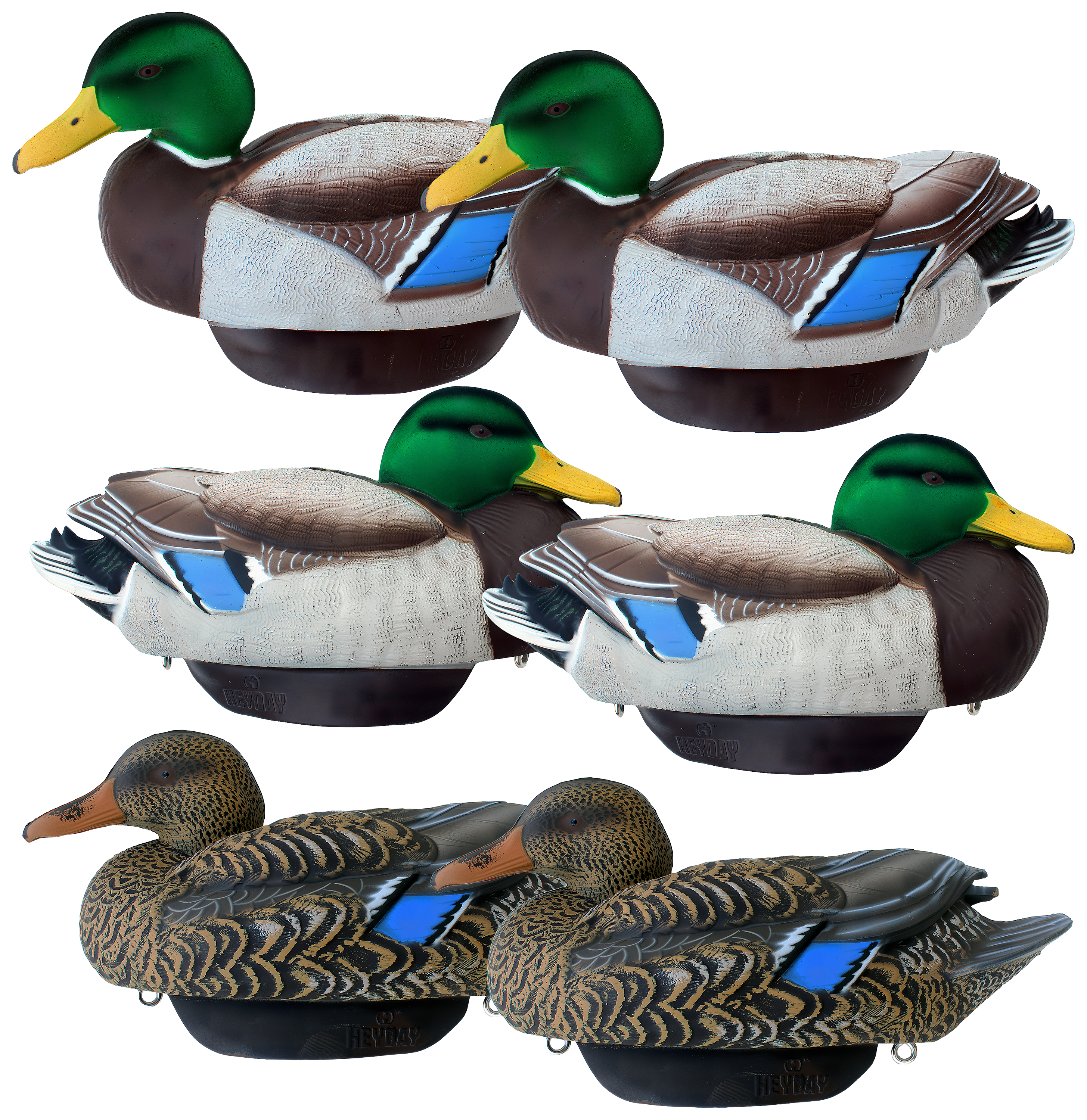 Image of HEYDAY HydroFoam Flocked Mallard Duck Decoys 6 Pack