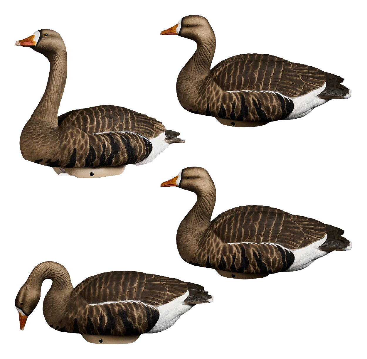 HydroFoam Specklebelly Goose Floater Decoys 4 Pack by HEYDAY                                                                    